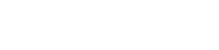 Our Vision