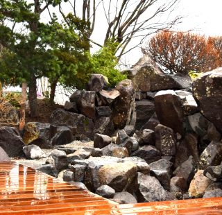 癒しの庭、ガーデニング