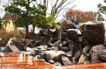 癒しの庭、ガーデニング