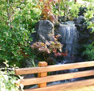 癒し、日本庭園、滝